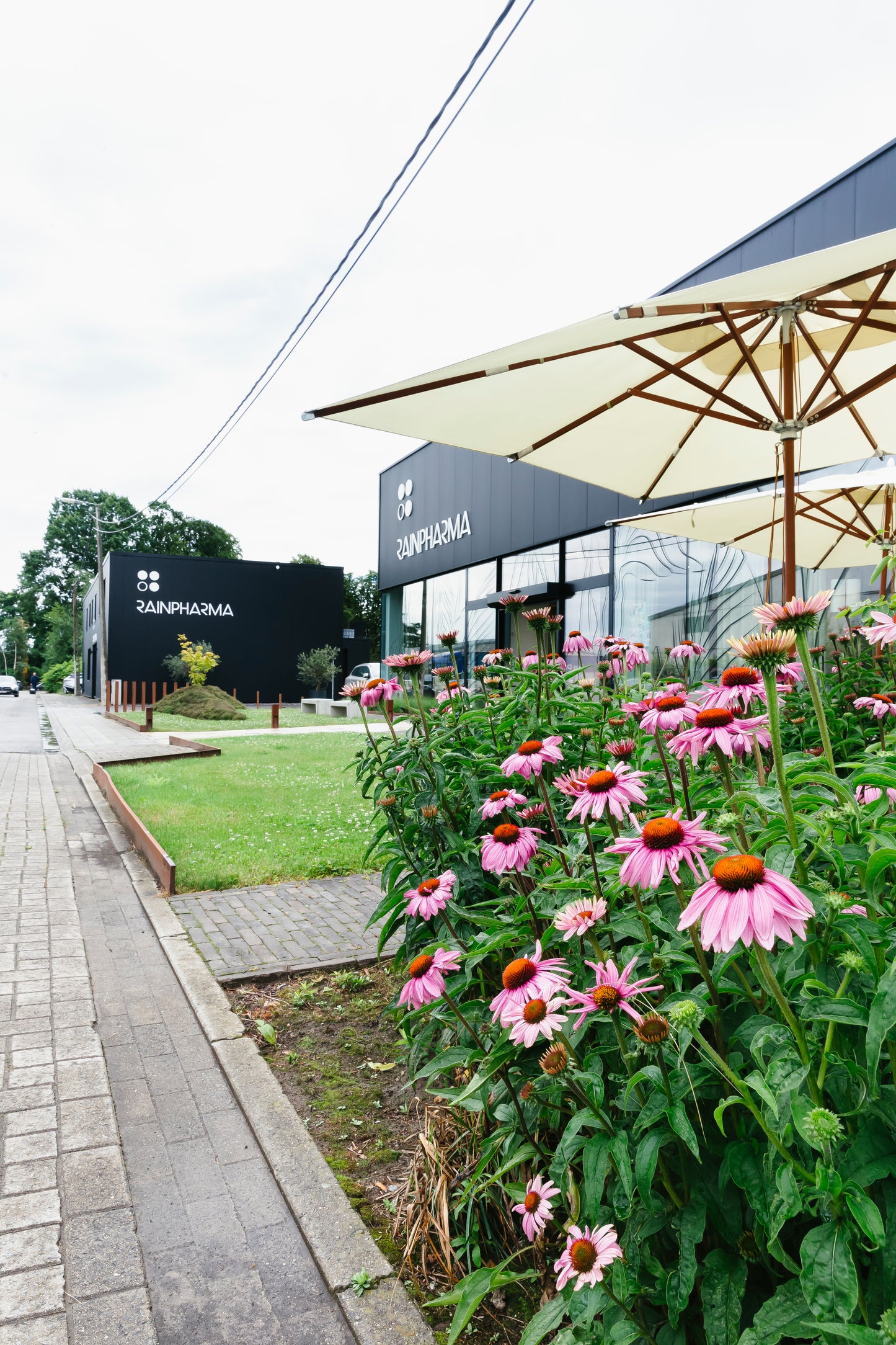 Make up workshop - 07/05/2026